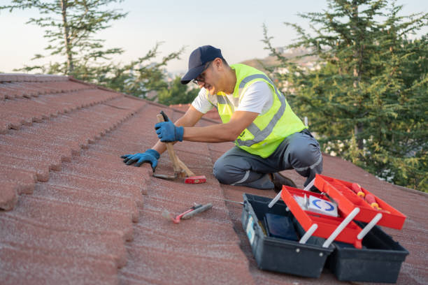 Sealant for Roof in Lakeport, CA